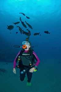 Ascension Island Black Durgon Triggerfish with diver near... by Paul Colley 